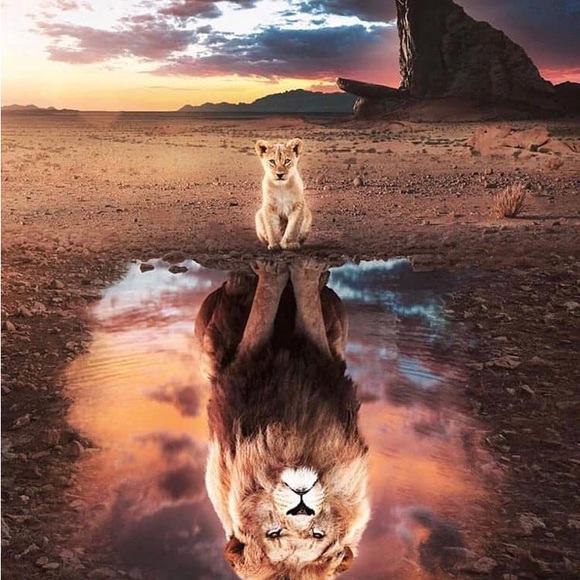 Meet your Posher, Jimmy - Picture 15 of 17